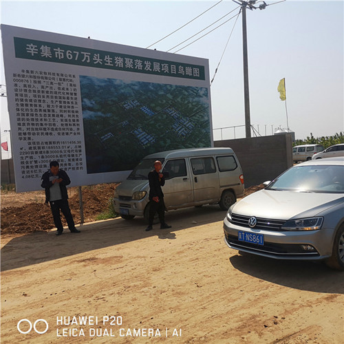 辛集市67万头生猪聚落采购抖奶视频直播APP下载钢三柱抖奶视频APP免费下载